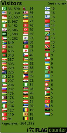 Flag Counter