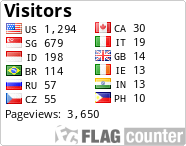 Flag Counter