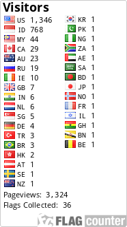 Flag Counter