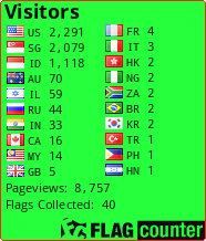 Flag Counter