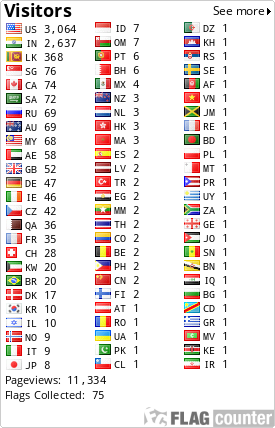 Flag Counter