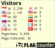 Flag Counter