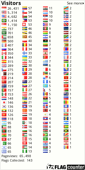 Flag Counter