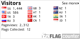 Flag Counter