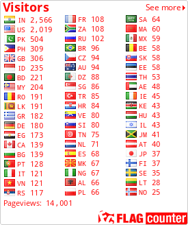 Flag Counter