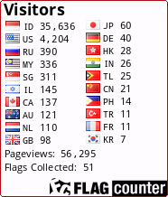 Flag Counter