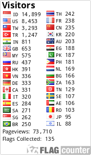 Flag Counter
