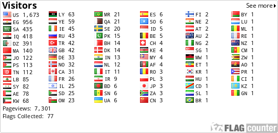 Flag Counter