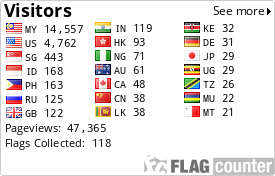 Flag Counter