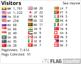 Flag Counter