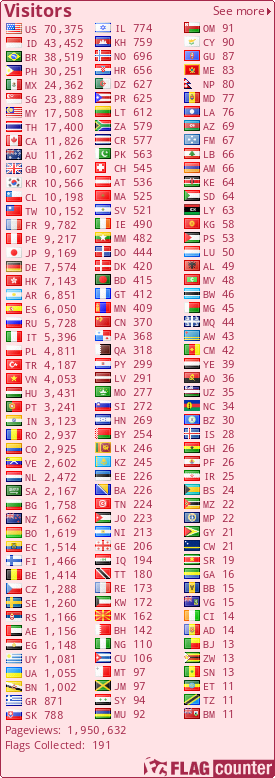 Flag Counter