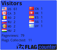 Flag Counter