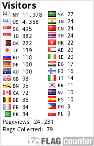 Flag Counter