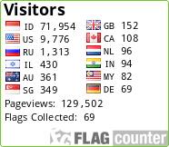 Flag Counter