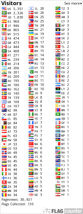 Flag Counter