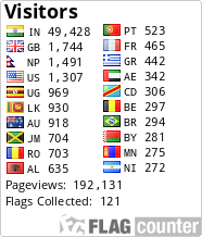 Flag Counter