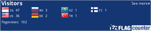 Flag Counter
