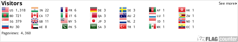 Flag Counter