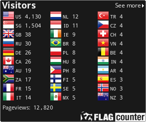Flag Counter