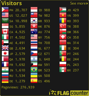 Flag Counter