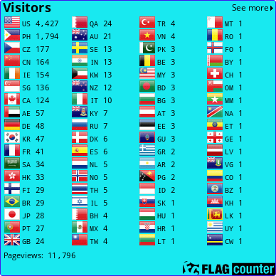 Flag Counter