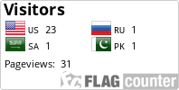 Flag Counter