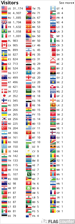 Flag Counter