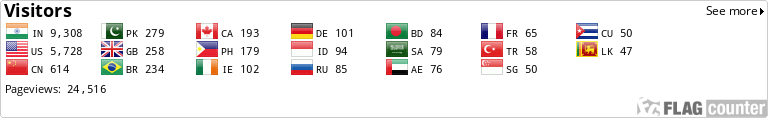 Flag Counter