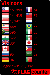 Flag Counter