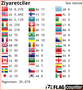 Flag Counter