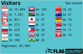 Flag Counter