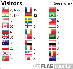 Flag Counter