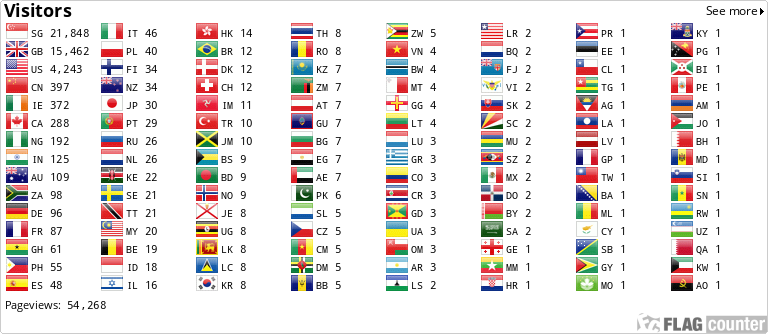 Flag Counter