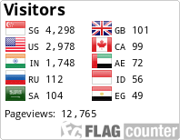 Flag Counter