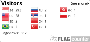 Flag Counter