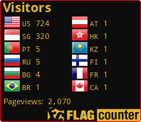 Flag Counter