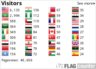 Flag Counter