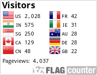 Flag Counter