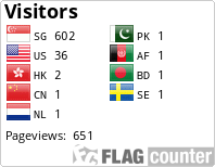 Flag Counter