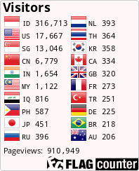 Flag Counter