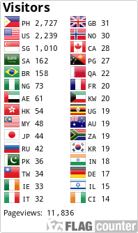 Flag Counter
