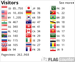 Flag Counter