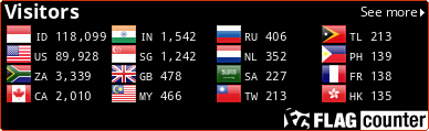 Flag Counter