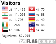 Flag Counter