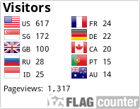 Flag Counter