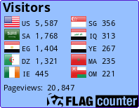 Flag Counter