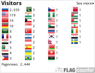 Flag Counter