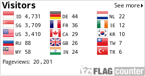 Flag Counter