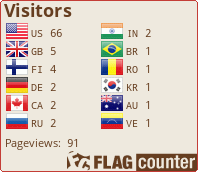 Flag Counter