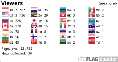 Flag Counter